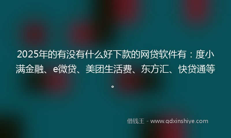 2025年的有没有什么好下款的网贷软件有：度小满金融、e微贷、美团生活费、东方汇、快贷通等。