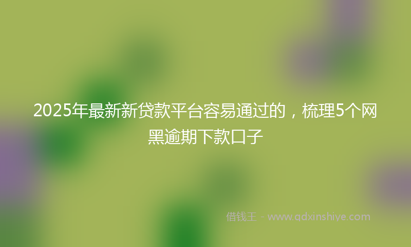 2025年最新新贷款平台容易通过的，梳理5个网黑逾期下款口子