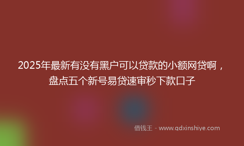 2025年最新有没有黑户可以贷款的小额网贷啊，盘点五个新号易贷速审秒下款口子