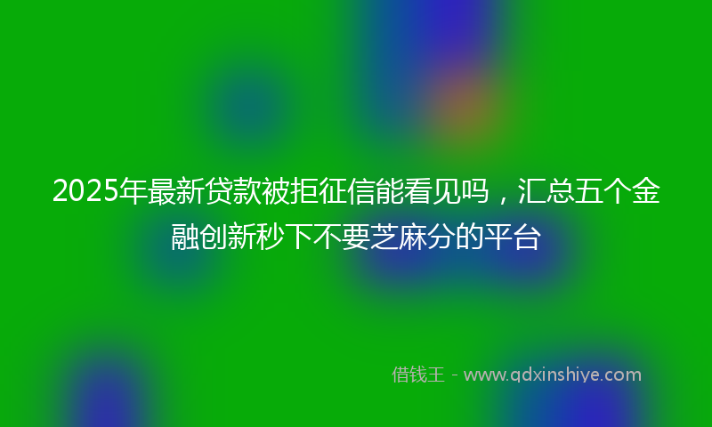 2025年最新贷款被拒征信能看见吗，汇总五个金融创新秒下不要芝麻分的平台