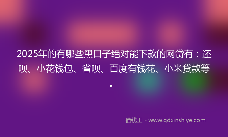 2025年的有哪些黑口子绝对能下款的网贷有：还呗、小花钱包、省呗、百度有钱花、小米贷款等。