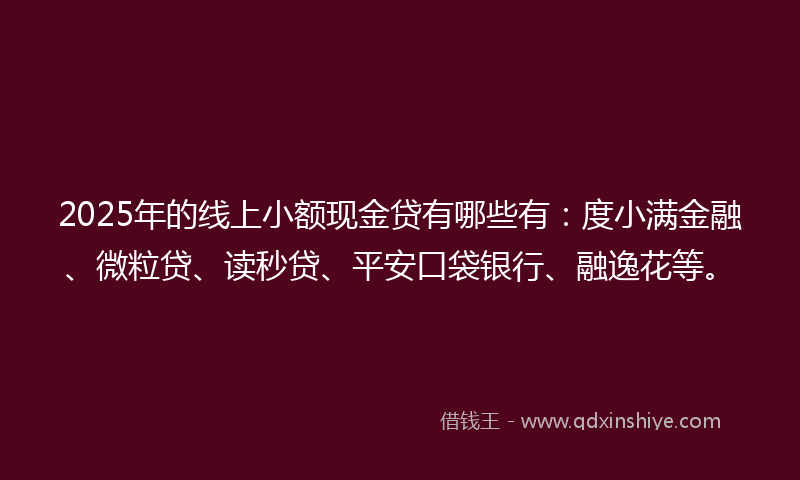 2025年的线上小额现金贷有哪些有：度小满金融、微粒贷、读秒贷、平安口袋银行、融逸花等。