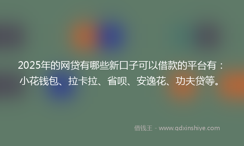 2025年的网贷有哪些新口子可以借款的平台有：小花钱包、拉卡拉、省呗、安逸花、功夫贷等。