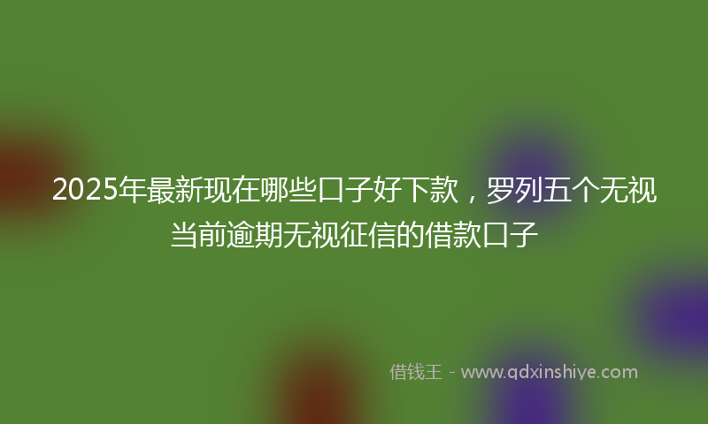 2025年最新现在哪些口子好下款，罗列五个无视当前逾期无视征信的借款口子