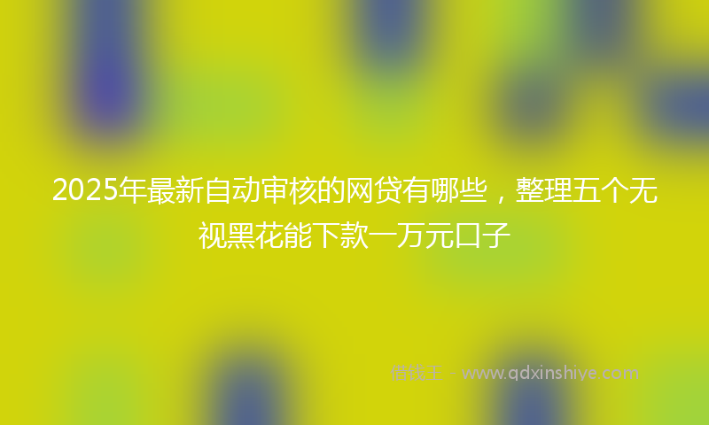 2025年最新自动审核的网贷有哪些，整理五个无视黑花能下款一万元口子