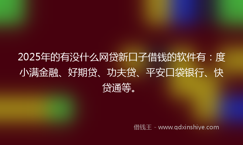 2025年的有没什么网贷新口子借钱的软件有：度小满金融、好期贷、功夫贷、平安口袋银行、快贷通等。