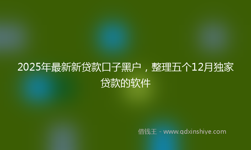 2025年最新新贷款口子黑户，整理五个12月独家贷款的软件
