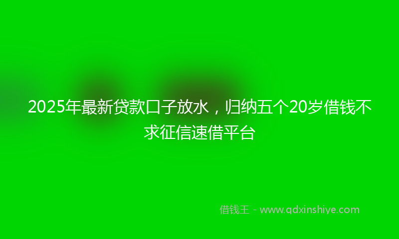 2025年最新贷款口子放水，归纳五个20岁借钱不求征信速借平台