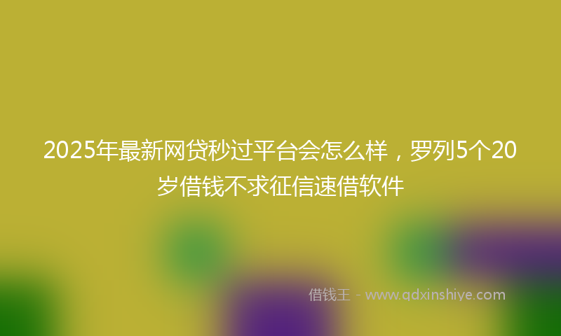 2025年最新网贷秒过平台会怎么样，罗列5个20岁借钱不求征信速借软件