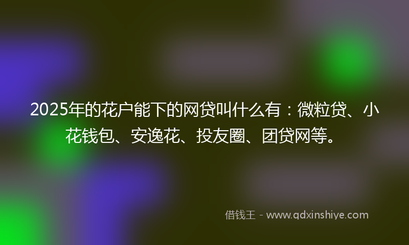 2025年的花户能下的网贷叫什么有：微粒贷、小花钱包、安逸花、投友圈、团贷网等。