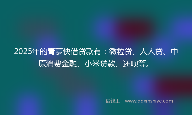 2025年的青萝快借贷款有：微粒贷、人人贷、中原消费金融、小米贷款、还呗等。