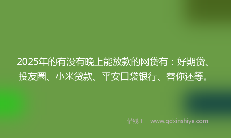 2025年的有没有晚上能放款的网贷有：好期贷、投友圈、小米贷款、平安口袋银行、替你还等。