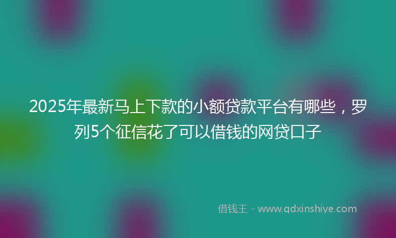 2025年最新马上下款的小额贷款平台有哪些，罗列5个征信花了可以借钱的网贷口子