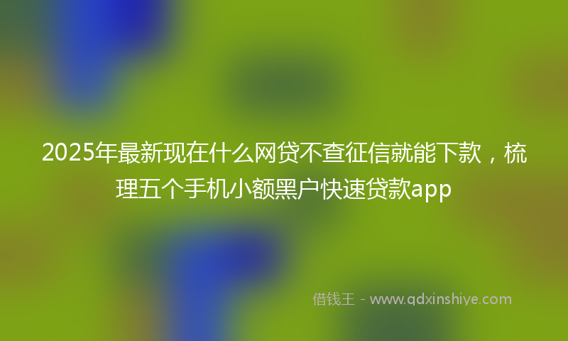 2025年最新现在什么网贷不查征信就能下款，梳理五个手机小额黑户快速贷款app