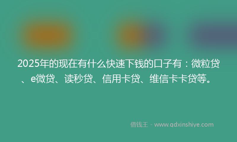 2025年的现在有什么快速下钱的口子有：微粒贷、e微贷、读秒贷、信用卡贷、维信卡卡贷等。