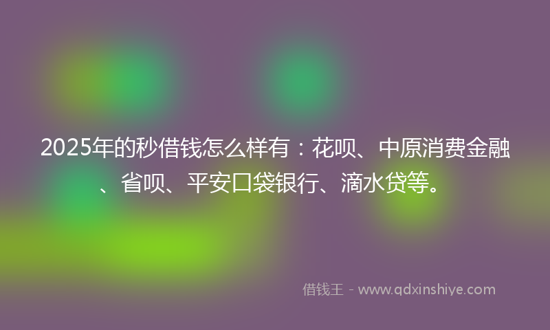 2025年的秒借钱怎么样有：花呗、中原消费金融、省呗、平安口袋银行、滴水贷等。