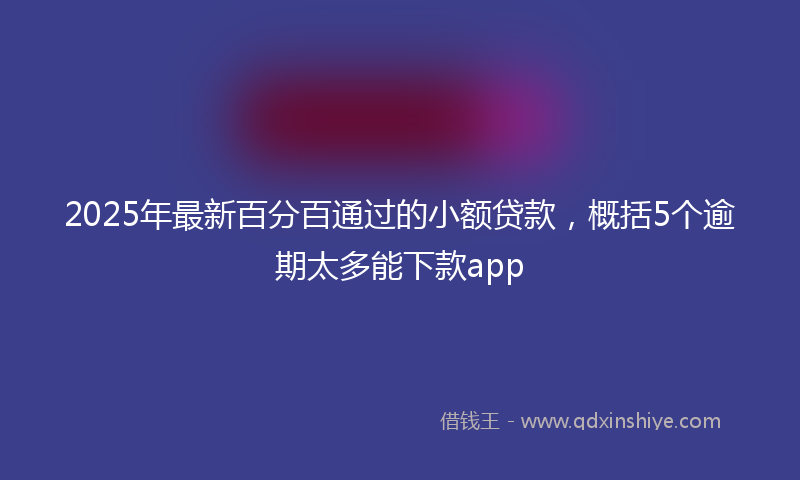 2025年最新百分百通过的小额贷款，概括5个逾期太多能下款app