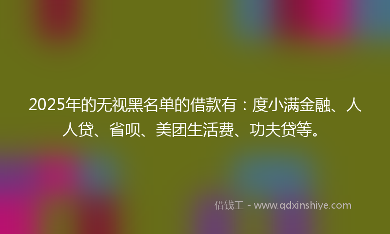 2025年的无视黑名单的借款有：度小满金融、人人贷、省呗、美团生活费、功夫贷等。