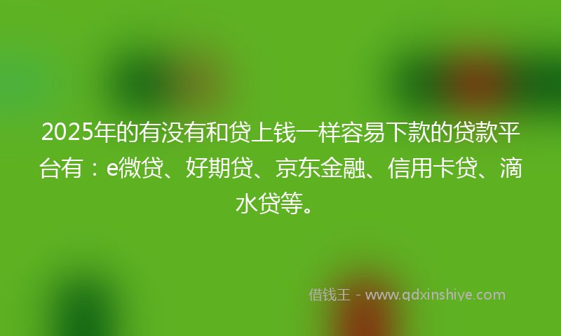 2025年的有没有和贷上钱一样容易下款的贷款平台有：e微贷、好期贷、京东金融、信用卡贷、滴水贷等。
