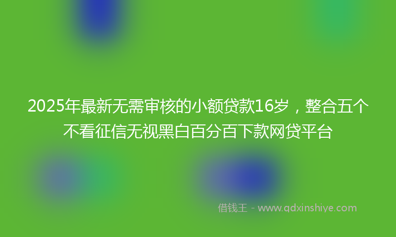 2025年最新无需审核的小额贷款16岁，整合五个不看征信无视黑白百分百下款网贷平台
