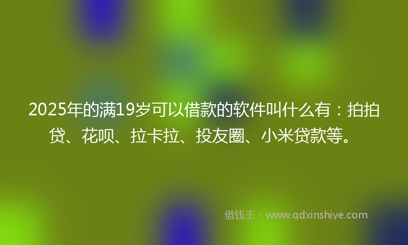 2025年的满19岁可以借款的软件叫什么有：拍拍贷、花呗、拉卡拉、投友圈、小米贷款等。