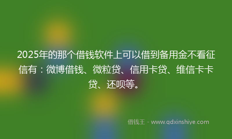 2025年的那个借钱软件上可以借到备用金不看征信有：微博借钱、微粒贷、信用卡贷、维信卡卡贷、还呗等。
