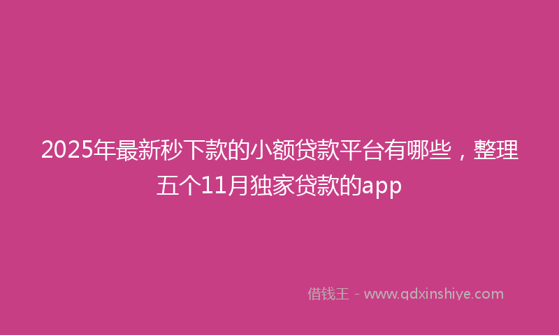 2025年最新秒下款的小额贷款平台有哪些，整理五个11月独家贷款的app