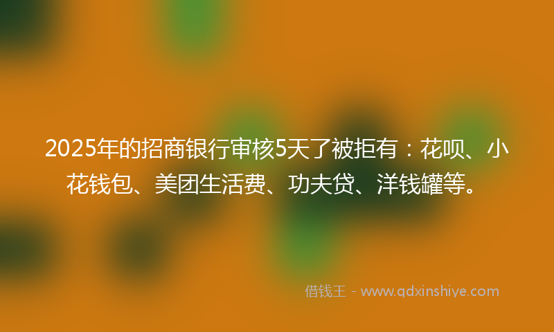 2025年的招商银行审核5天了被拒有：花呗、小花钱包、美团生活费、功夫贷、洋钱罐等。