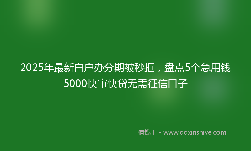 2025年最新白户办分期被秒拒，盘点5个急用钱5000快审快贷无需征信口子