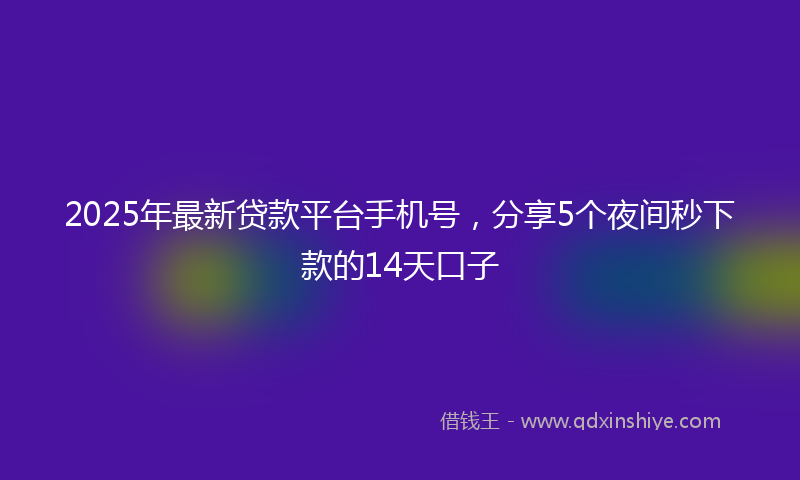 2025年最新贷款平台手机号，分享5个夜间秒下款的14天口子