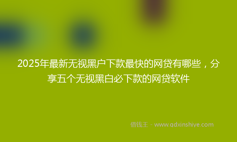 2025年最新无视黑户下款最快的网贷有哪些，分享五个无视黑白必下款的网贷软件