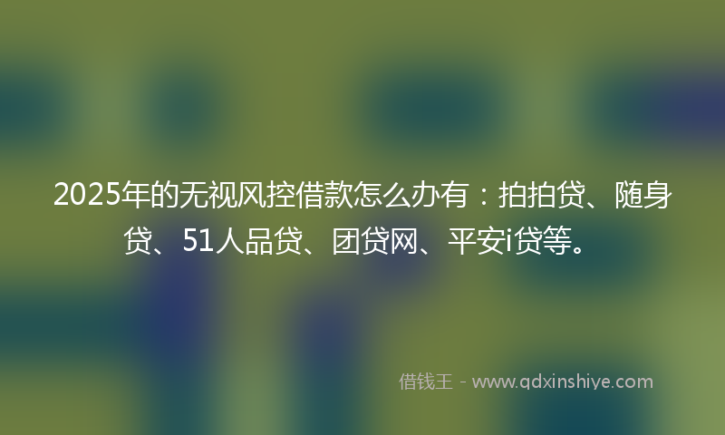 2025年的无视风控借款怎么办有：拍拍贷、随身贷、51人品贷、团贷网、平安i贷等。