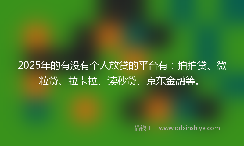 2025年的有没有个人放贷的平台有：拍拍贷、微粒贷、拉卡拉、读秒贷、京东金融等。