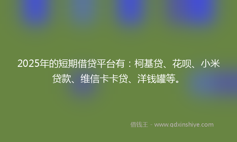 2025年的短期借贷平台有：柯基贷、花呗、小米贷款、维信卡卡贷、洋钱罐等。