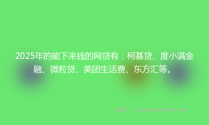 2025年的能下来钱的网贷有：柯基贷、度小满金融、微粒贷、美团生活费、东方汇等。