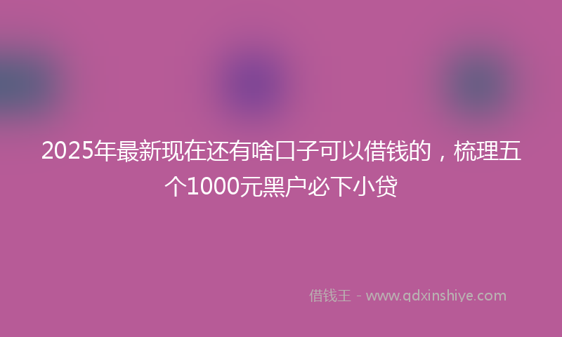 2025年最新现在还有啥口子可以借钱的，梳理五个1000元黑户必下小贷