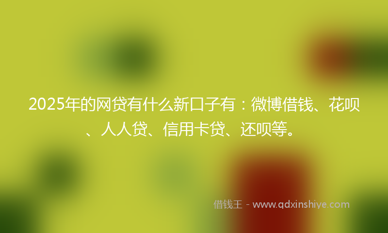 2025年的网贷有什么新口子有：微博借钱、花呗、人人贷、信用卡贷、还呗等。