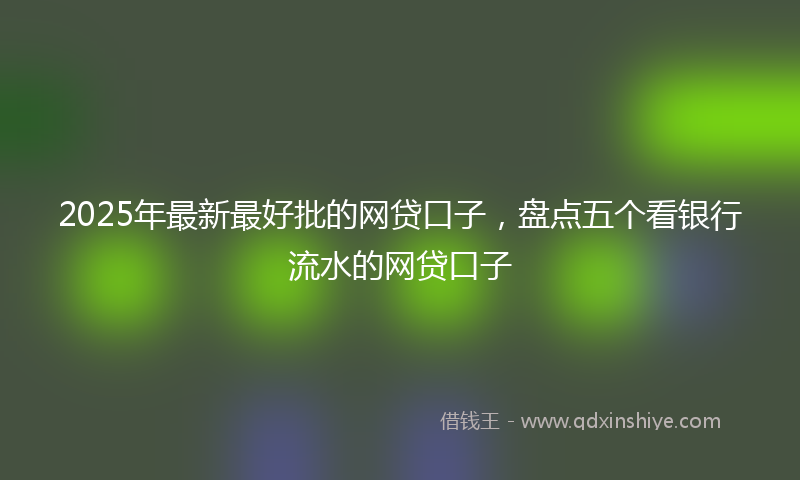 2025年最新最好批的网贷口子，盘点五个看银行流水的网贷口子