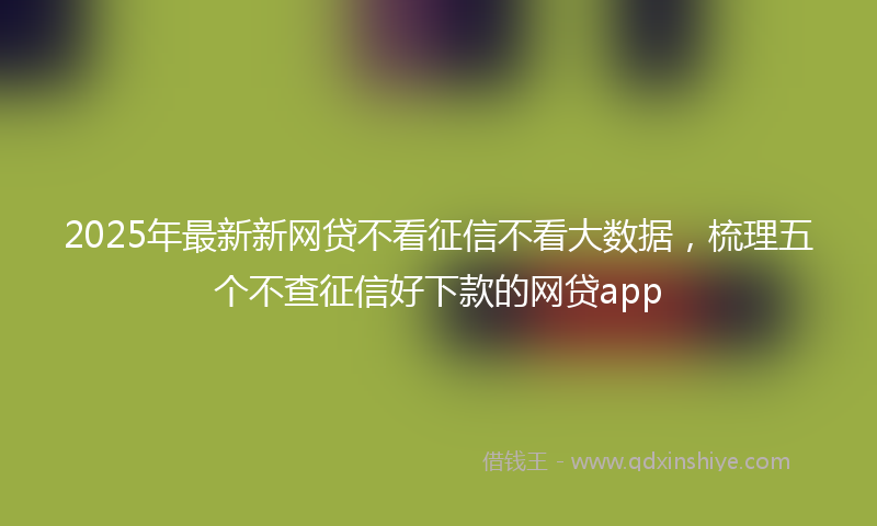2025年最新新网贷不看征信不看大数据，梳理五个不查征信好下款的网贷app
