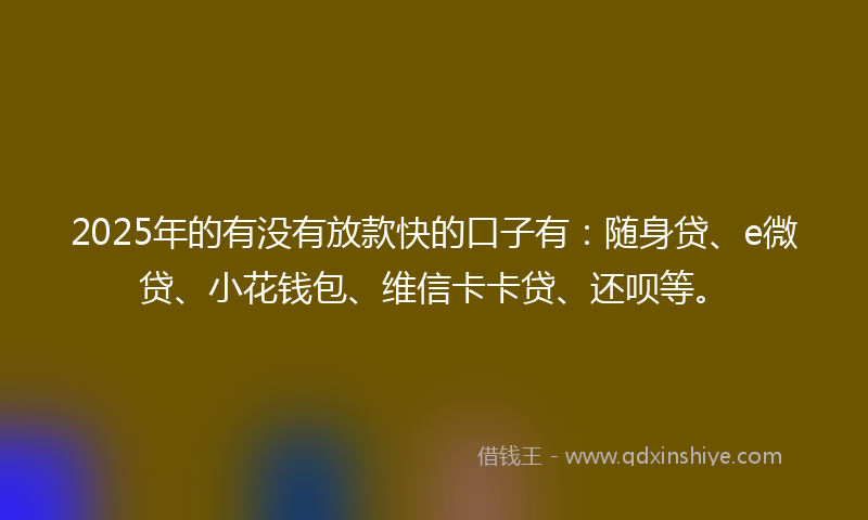 2025年的有没有放款快的口子有：随身贷、e微贷、小花钱包、维信卡卡贷、还呗等。