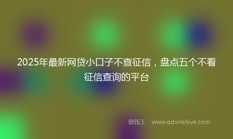 2025年最新网贷小口子不查征信，盘点五个不看征信查询的平台