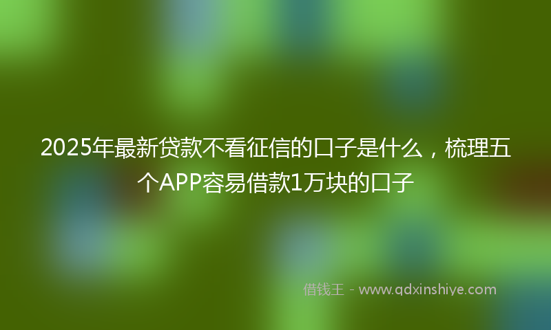 2025年最新贷款不看征信的口子是什么，梳理五个APP容易借款1万块的口子