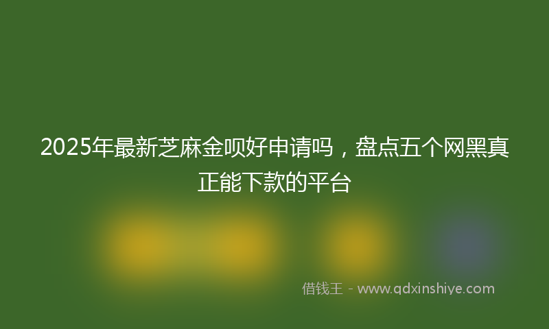 2025年最新芝麻金呗好申请吗，盘点五个网黑真正能下款的平台
