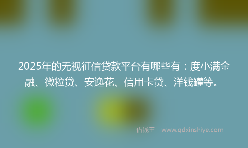 2025年的无视征信贷款平台有哪些有：度小满金融、微粒贷、安逸花、信用卡贷、洋钱罐等。