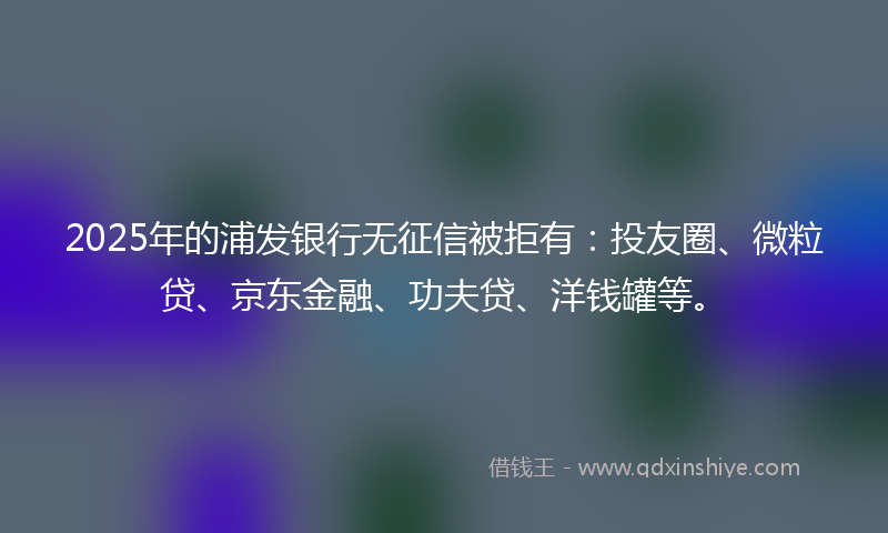 2025年的浦发银行无征信被拒有：投友圈、微粒贷、京东金融、功夫贷、洋钱罐等。