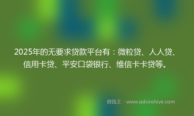 2025年的无要求贷款平台有：微粒贷、人人贷、信用卡贷、平安口袋银行、维信卡卡贷等。