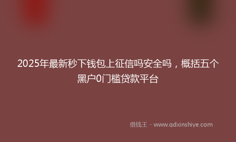 2025年最新秒下钱包上征信吗安全吗，概括五个黑户0门槛贷款平台
