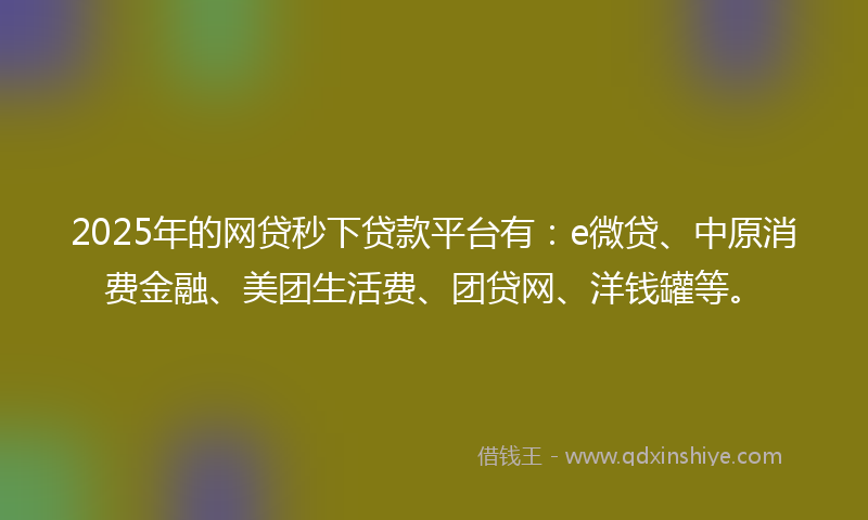 2025年的网贷秒下贷款平台有：e微贷、中原消费金融、美团生活费、团贷网、洋钱罐等。