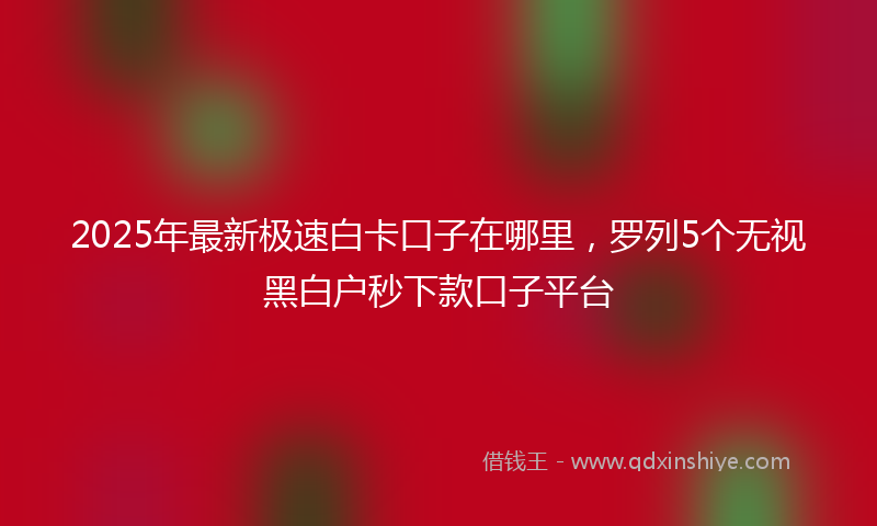 2025年最新极速白卡口子在哪里，罗列5个无视黑白户秒下款口子平台