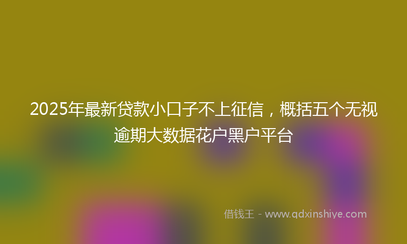 2025年最新贷款小口子不上征信，概括五个无视逾期大数据花户黑户平台